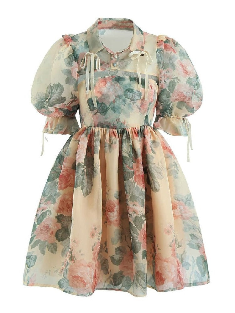 A Tale of Emerald Leaves and Bright Pink Rosy Blooms Cottagecore Princesscore Fairycore Princesscore Coquette Romantic Academia Soft Girl Kawaii Dress with Cardigan Top Complete Set