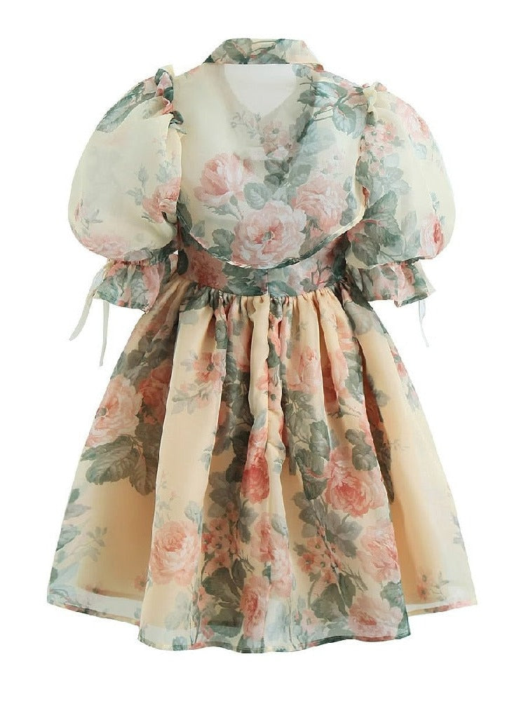 A Tale of Emerald Leaves and Bright Pink Rosy Blooms Cottagecore Princesscore Fairycore Princesscore Coquette Romantic Academia Soft Girl Kawaii Dress with Cardigan Top Complete Set