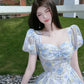 Rosie Marie's Swirling Dreams Cottagecore Fairycore Princesscore Coquette Kawaii Dress