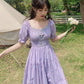 Sketching in the Fields Fairycore Dress - Starlight Fair