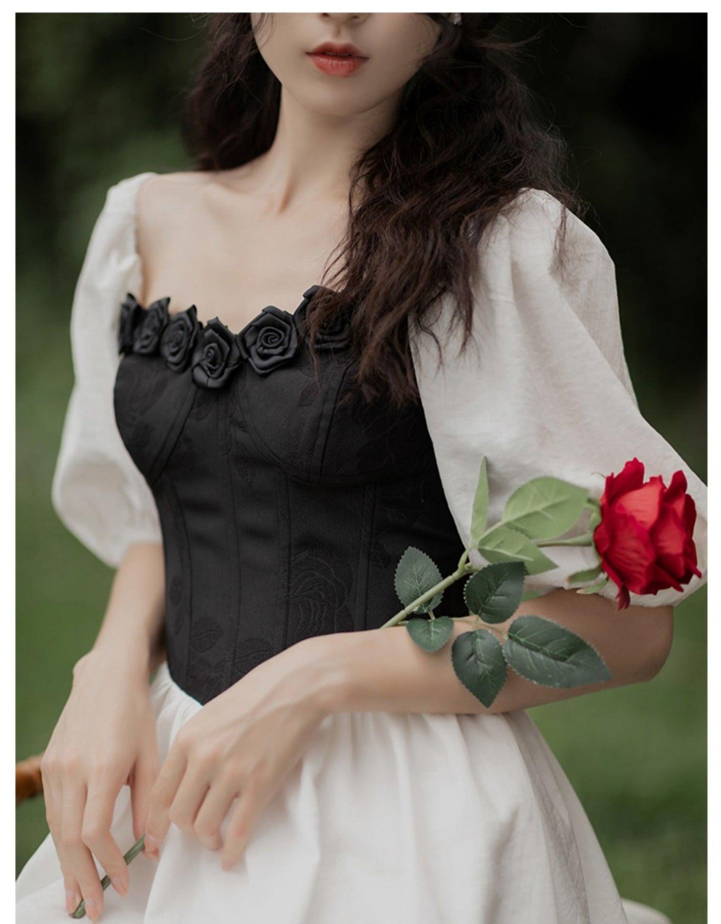Onyx Roses Dark Fairycore Princesscore Cottagecore Dress - Starlight Fair